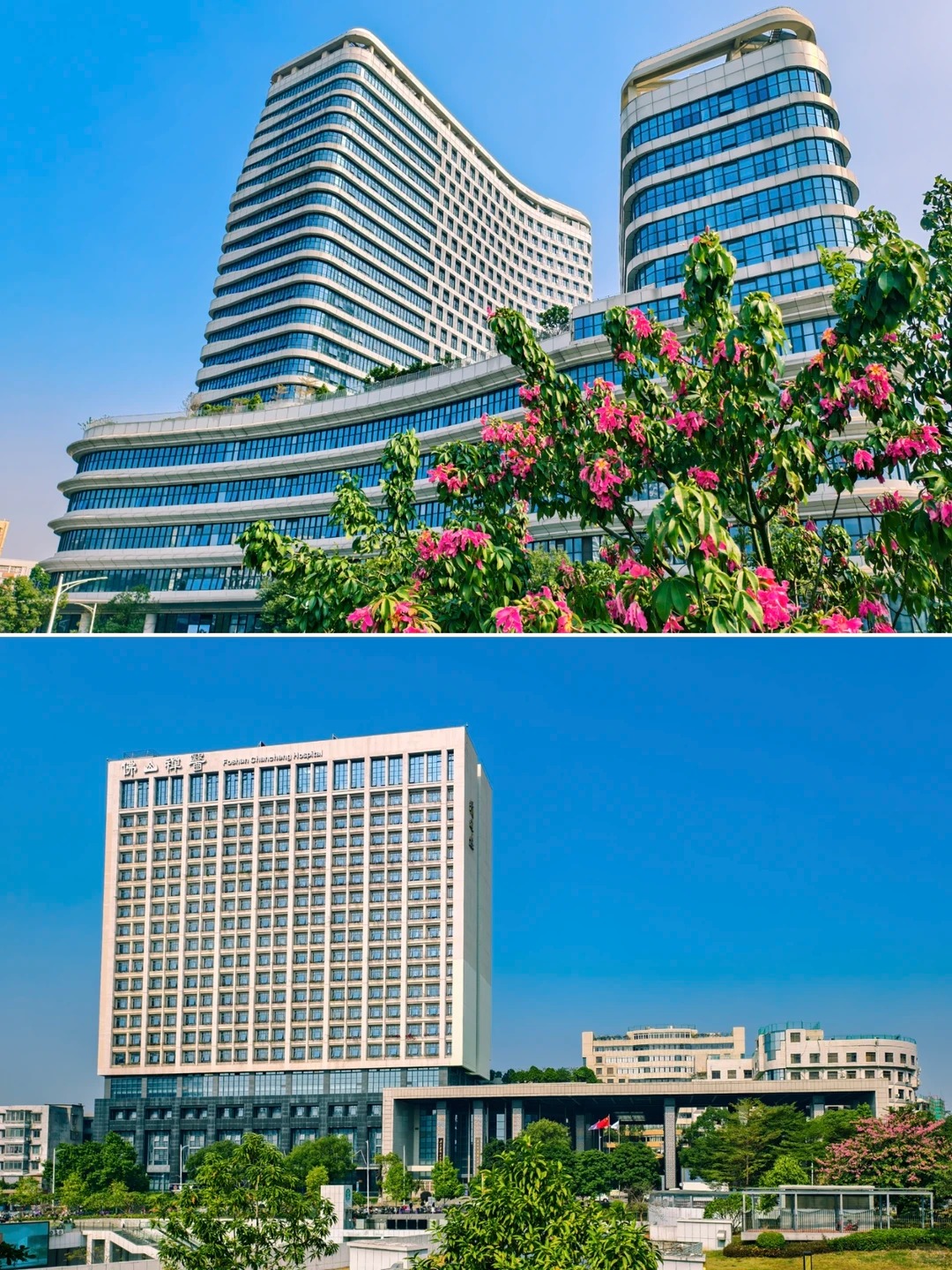 Foshan Chancheng Hospital campus buildings
